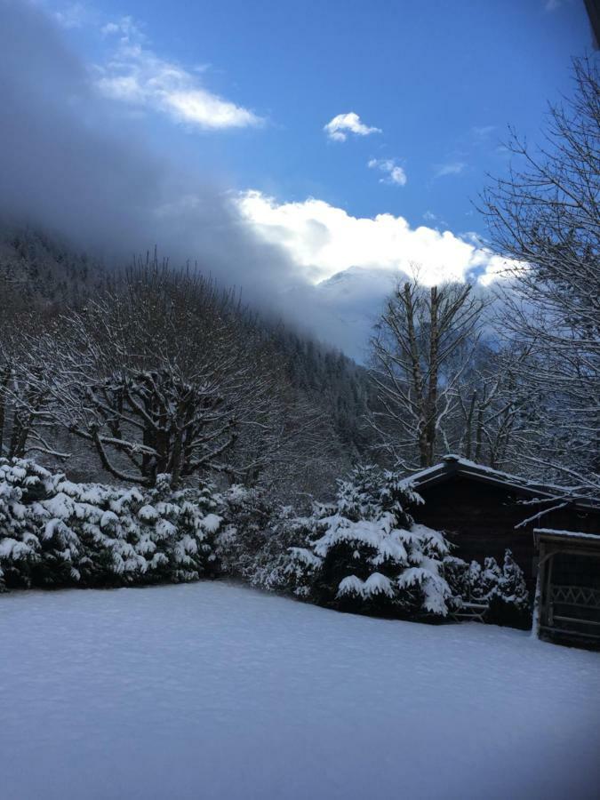 Chalet Des Petits Loups Шамони Екстериор снимка